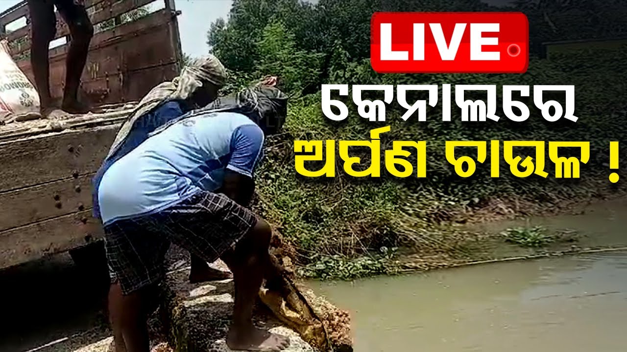 Live | କେନାଲରେ ଅର୍ପଣ ଚାଉଳ | Arpana Rice | Kenal | Puri | Konark