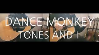 TONES AND I - DANCE MONKEY Guitar cover