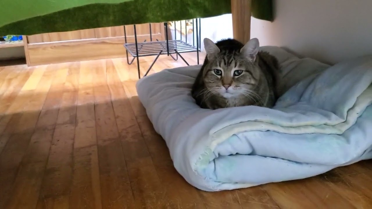 Der Welktrieg - TG 257