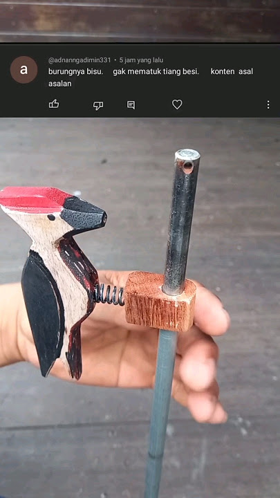 ini suaranya burung pelatuk ketek ketek #burungpelatuk #diy #pelatuk