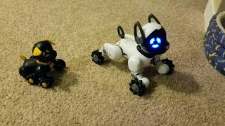 wowwee chippies chippo