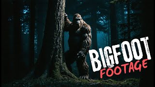 7 Bigfoot Clips: That May Prove They Exist!