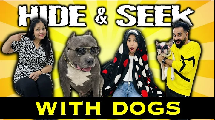 Hide n Seek with Brody Bunny 🐶 | Harpreet SDC | Funny Dog Videos