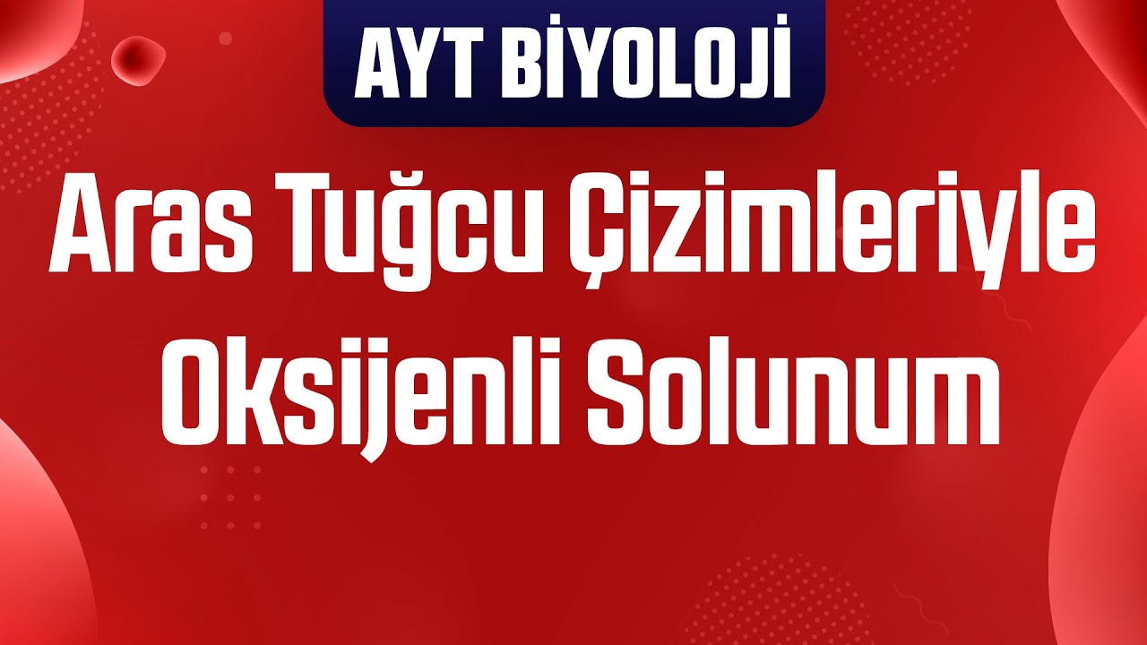 44) Aras Tuğcu Çizimleriyle Oksijenli Solunum