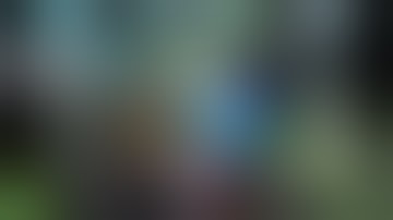 scan vs round 100 READ DESC