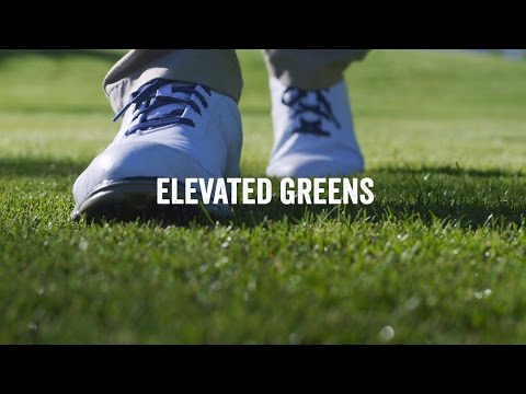 Elevated Greens -