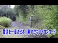 驚きの効果!草刈りボランティアが農道を鮮やかなナイロンコードで一変させる