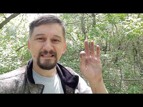 КОП 2021 Где нельзя копать 3 совета новичкам Поиск монет металлоискателем Как выбрать место для КОПа