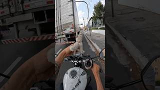 #viral O CACHORRINHO ESTA BRAVO ?