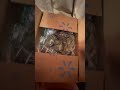 🛍️ASMAR 🛍️Walmart Unpacking! #asmar #satisfying #relaxing #shopping #walmart #shortsfeed #girl
