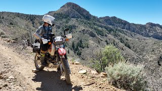 I Discovered a Hidden PINE FOREST In the Middle of the MOJAVE Desert (& the XR650L has CDI Issues..)