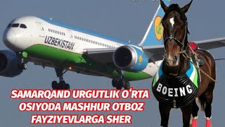 SAMARQAND URGUTLIK OʻRTA OSIYODA MASHHUR OTBOZ FAYZIYEVLARGA SHER