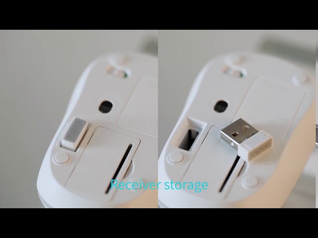 Rapoo M10-Plus Wireless Mouse - Black