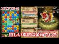 【ポコダン】エリア11 5 鳥狩り!ウィゾフニル周回!