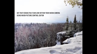 Get that Kodak/Fuji Film look with your Nikon camera using Nikon Picture Control Editor screenshot 3