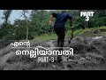Nelliyampathy tourist places | നെല്ലിയാമ്പതി travel vlog part-3 | Best places in nelliyampathy