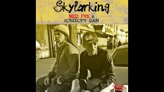 SKYLARKING RAGGAE RIDDIM INSTRUMENTAL