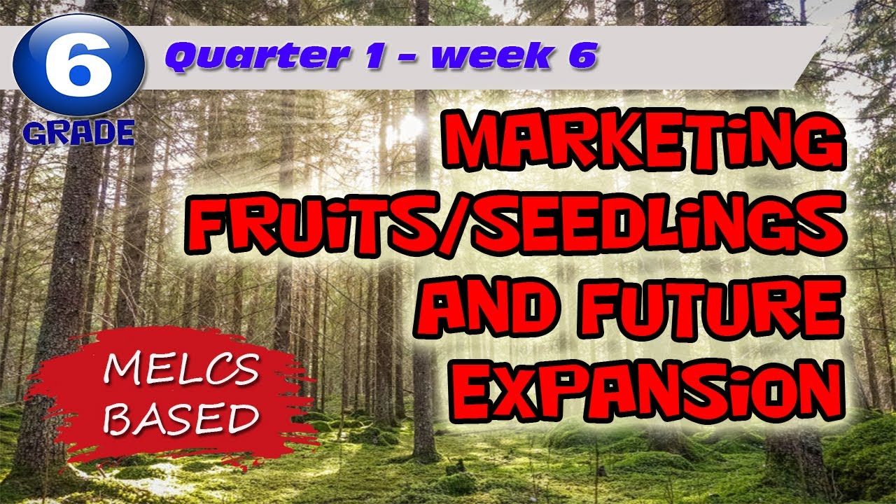 Marketing Fruits/Seedlings and Future Expansion | Grade 6 | Week 6 ...