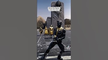 When the brothers of Alpha Phi Alpha step in the room 🦍🖤 #alphaphialpha #alphas #hbcu #divine9