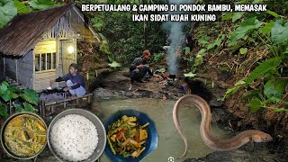 Berpetualang ke hutan, bermalam di pondok & mancing ikan sidat, memasak sayuran liar | Kang kumang