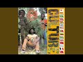The Land We Belong 2001 Digital Remaster The Land We Belong 2001 Digital Remaster