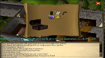 RuneScape 2007 Clue rewards from 30 chest -level 2 clues-