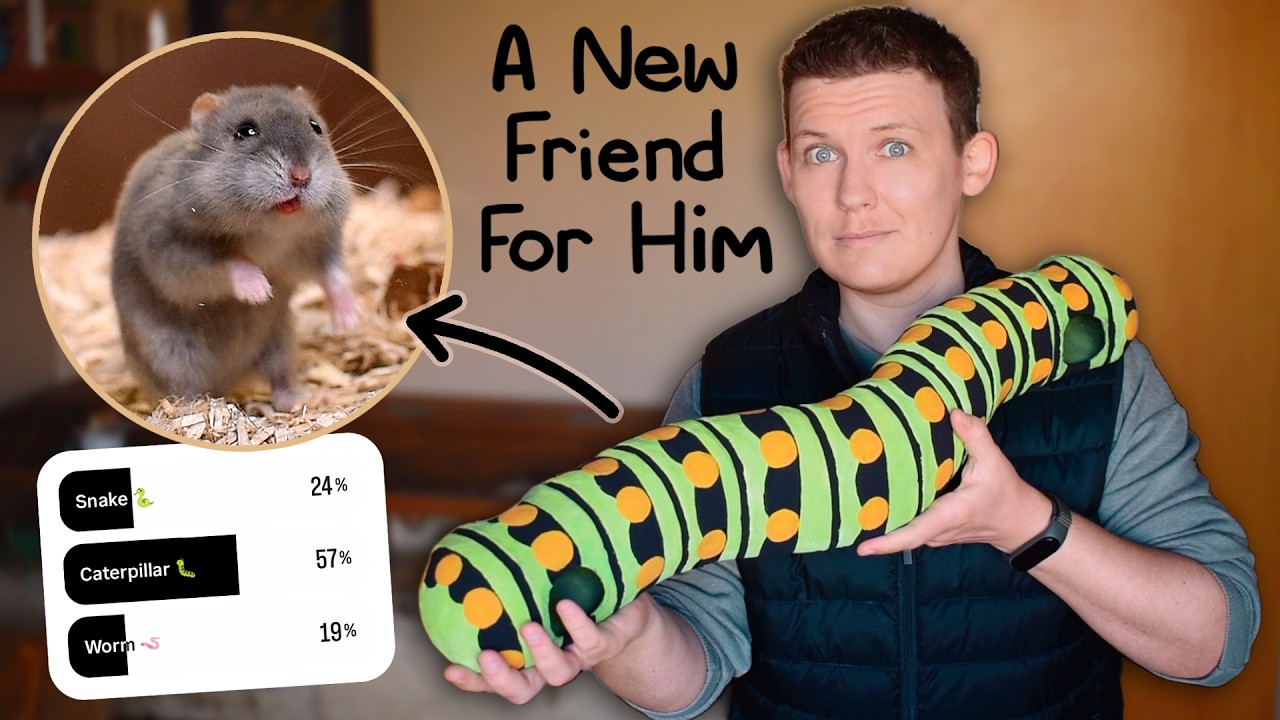 I Made a Giant Caterpillar for my Hamster