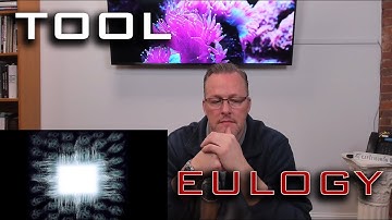 TOOL - EULOGY - REACTION and COMMENTARY!!!
