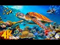 Ocean 4K 🐠 Beautiful Coral Reef Fish in Aquarium, Sea Animals for Relaxation - 4K Video Ultra HD