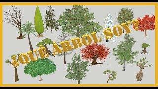 Test de personalidad - ¿Qué árbol te representa?