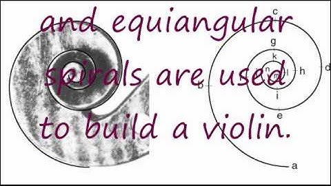 Parametric Equation - Butterfly Curve