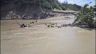 Proyecto Fideicomiso Punta Bergantín, desvía río y destruye manglares