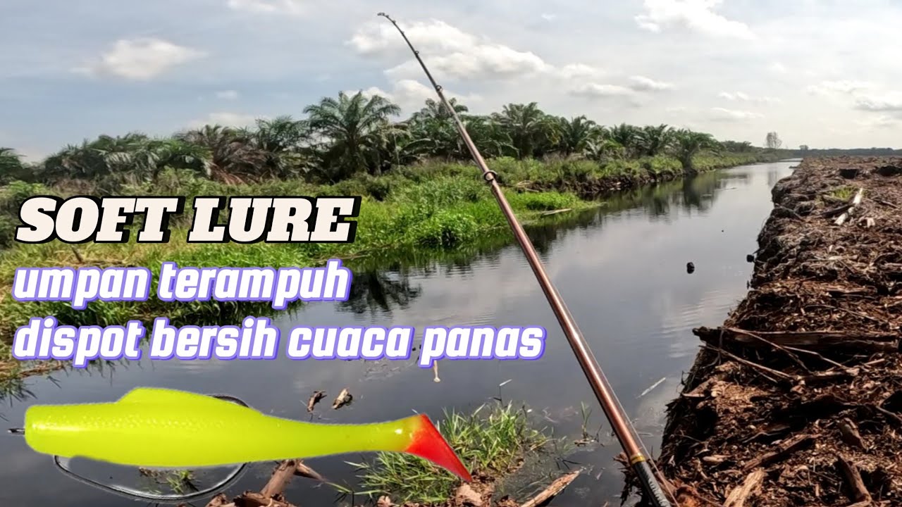 SETELAH CUCI PARIT TOMAN DISPOT INI LEBIH SUKA UMPAN DALAM SEPERTI SOFT LURE