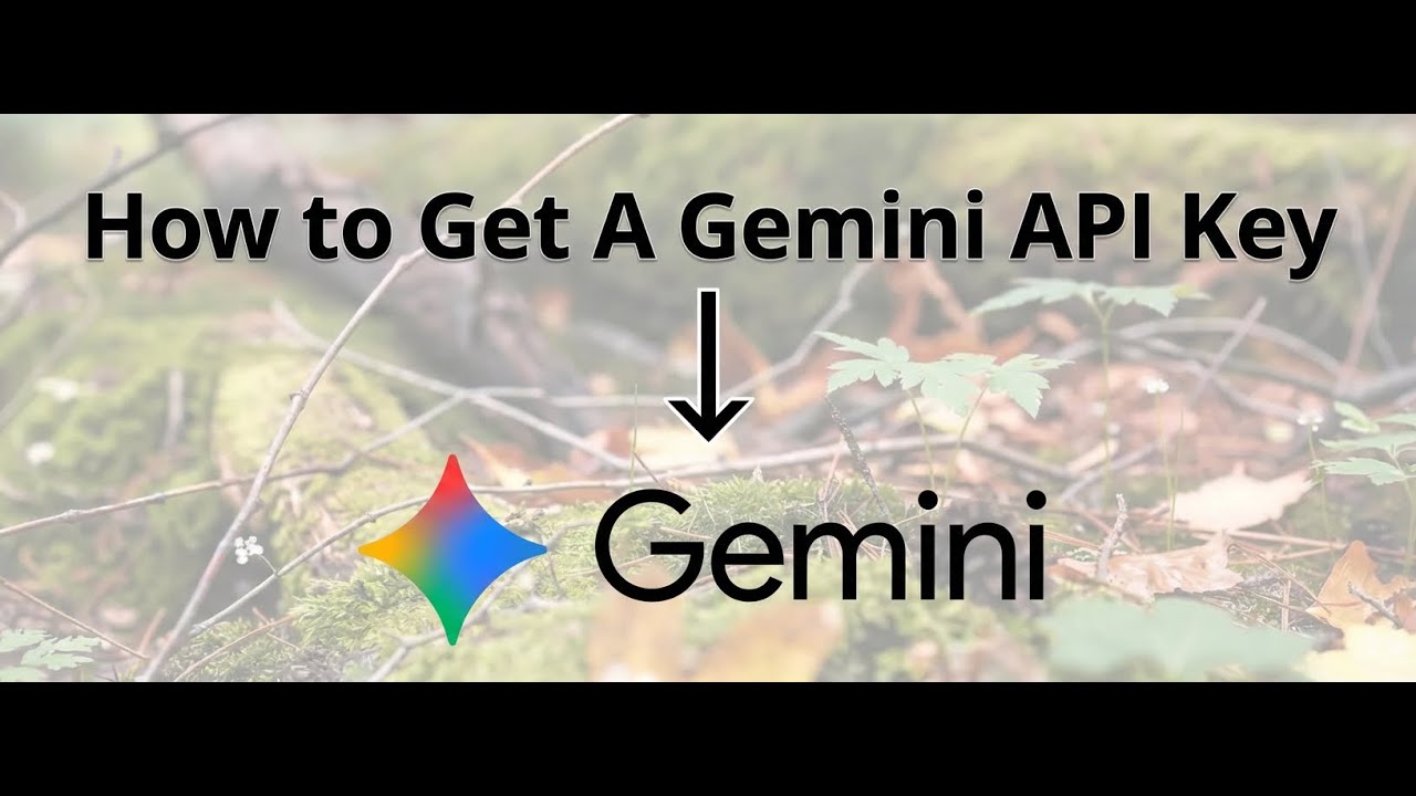 How To Get A Gemini API Key - Tutorial