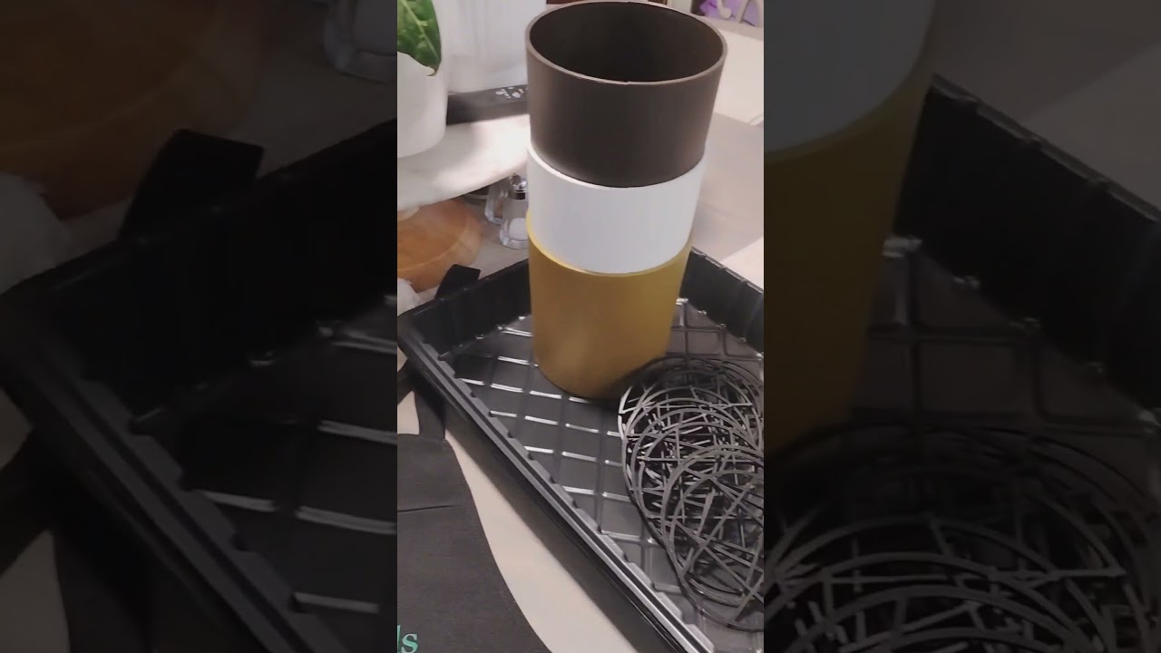 Temu Plant haul!  Follow for more reviews, plant tips and plant thrifting. 