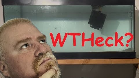 Why is my sponge filter floating? How to fix a floating sponge filter.