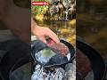 Cooking Steak in the Wild… This Is INSANE 😳🔥