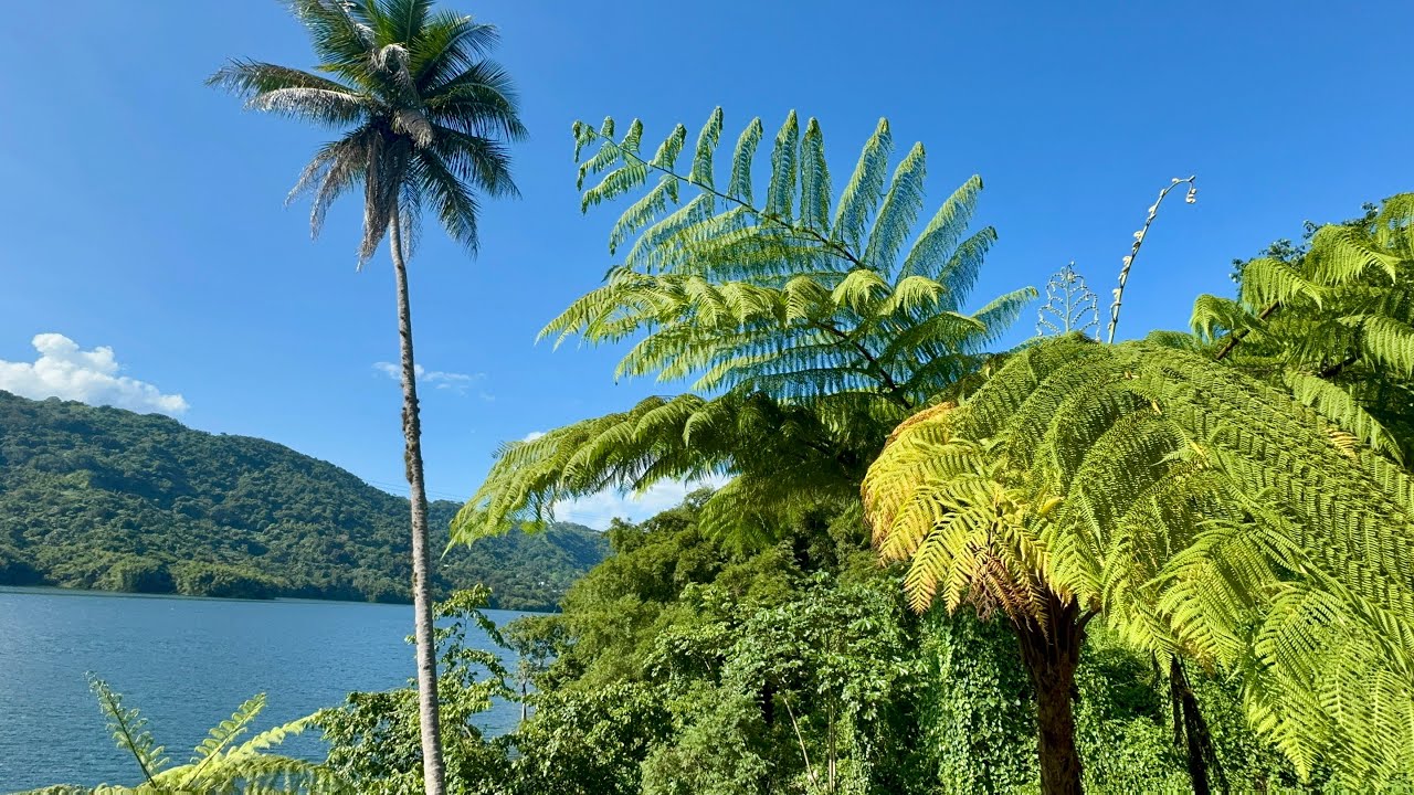 Utuado Orgullo De La Montaña Boricua 