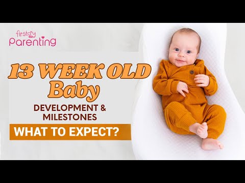 13 Week Old
