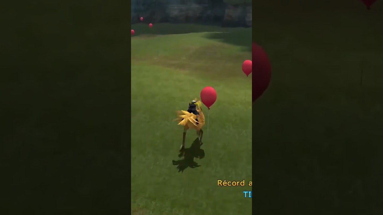 LOGRO: JINETE CHOCOBO. FINAL FANTASY X.