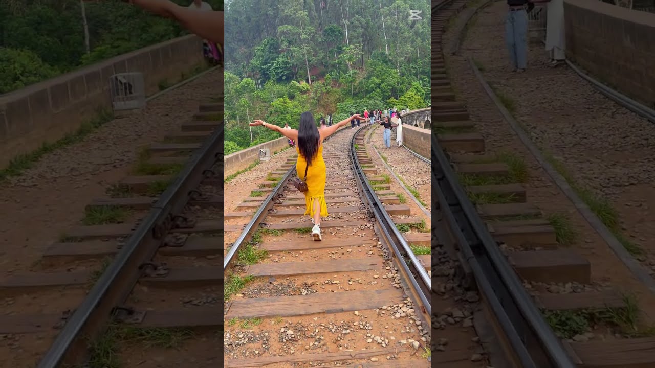 🌿 “Sometimes the best therapy is a window seat, rolling hills, and endless green 💚