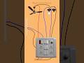 Simple Trick for House Wiring: Ceiling Fan & Bulb Connection! | #shots #electrical