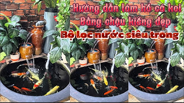 Hồ Cá Koi 200l Bằng Chậu Kiểng Đẹp - Cách Làm Lọc Hiệu Quả Giúp Nước Siêu Trong.Hồ E Quang ở BRVT.