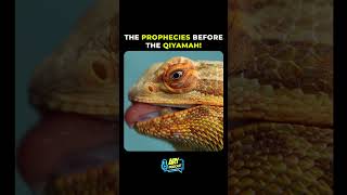 Prophecies before qiyamah! | #mohammadali #arypodcast #shorts
