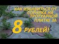 Как избавиться от сорняка на тротуарной плитке за 8 рублей