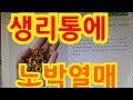 생리통에 노박열매