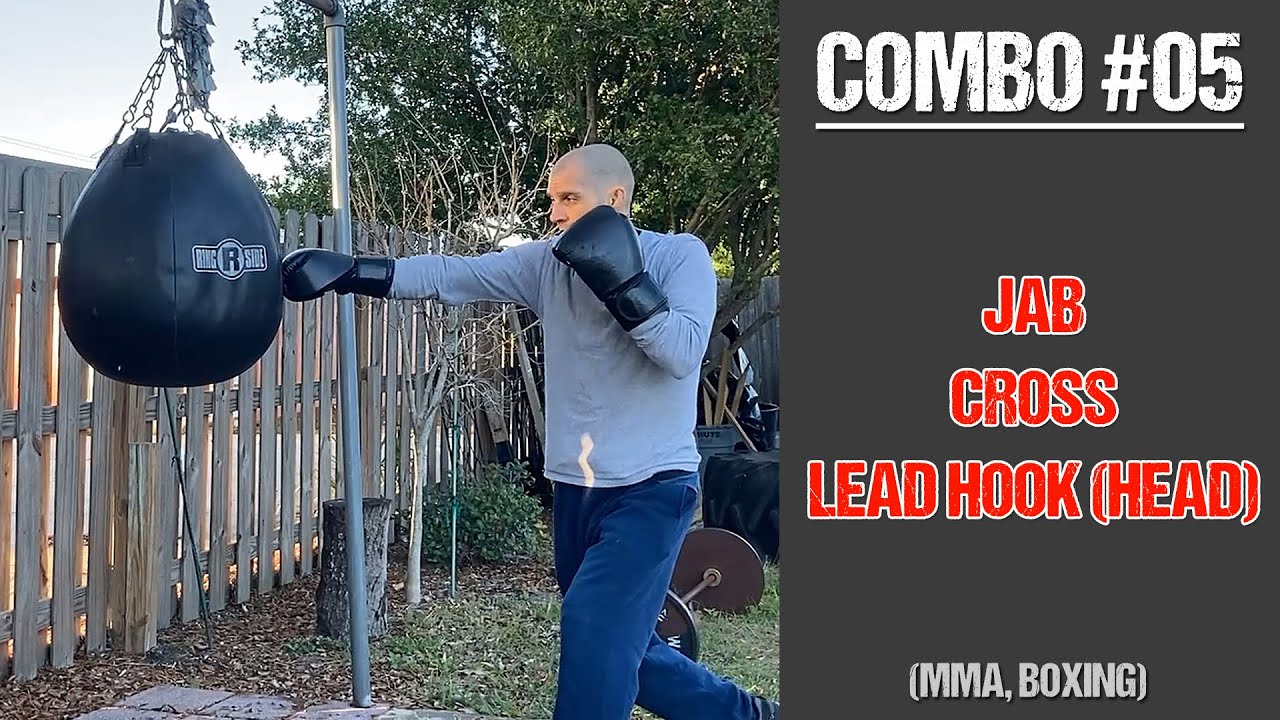 Fight Finish Combo 05: Jab - Cross- Lead Hook Head (MMA, Boxing)