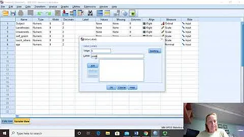 SPSS tutorial with wasp data    creating a data set and doing descriptive statistics