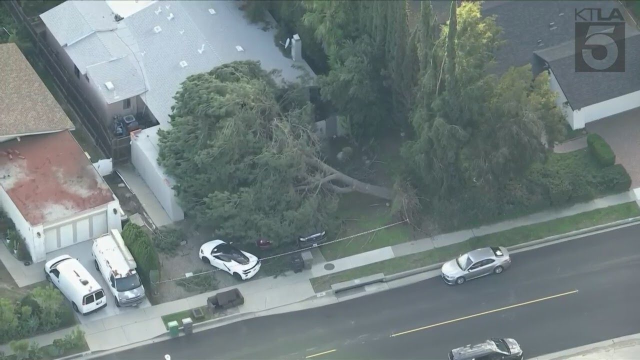 Tree comes down on home in Diamond Bar - YouTube