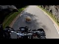 Extreme close call  motorcycle vs cat  tail cut
